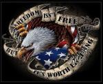 Eagle - Freedom Isn't Free