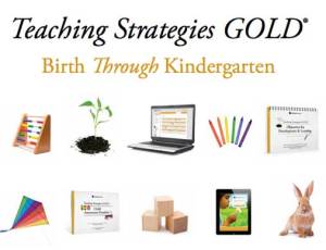 Teaching Strategies Gold